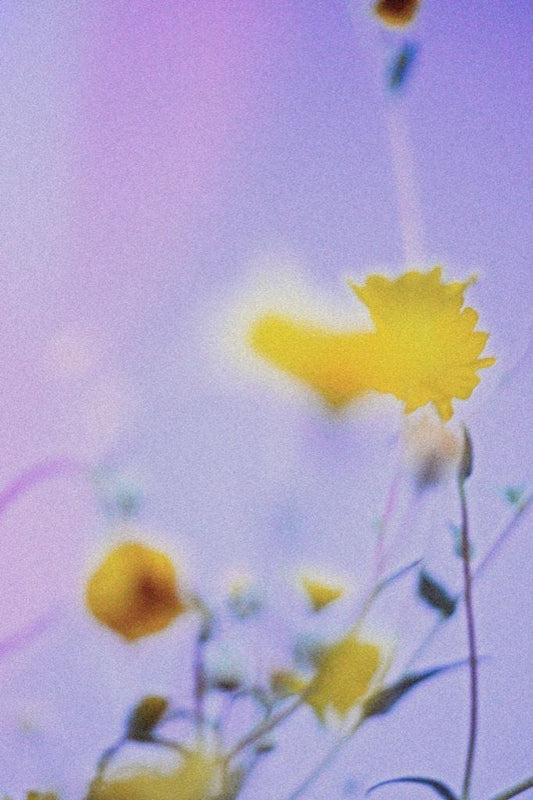 Lente - Natuurdruk