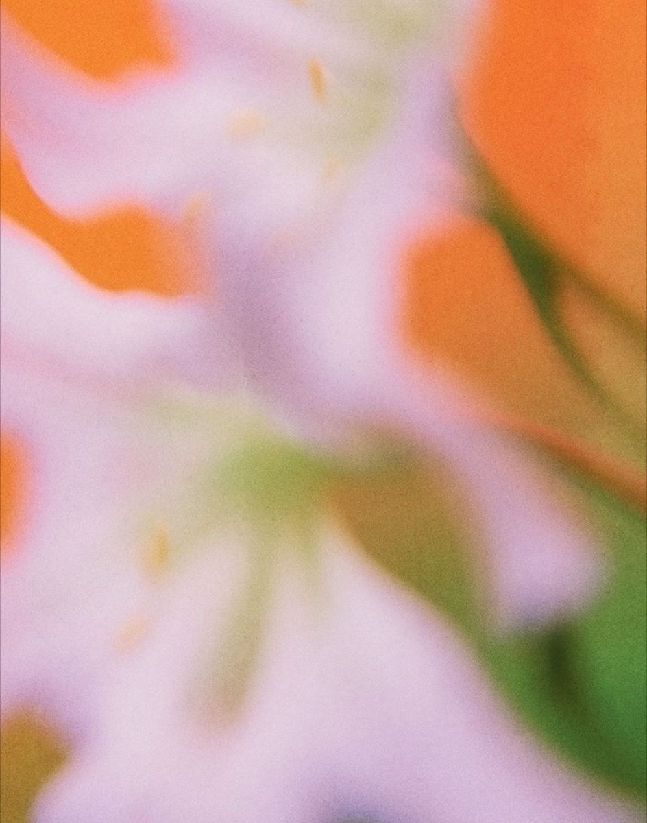 Winter - Studio Bister